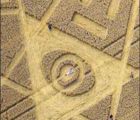 crop_circle61b