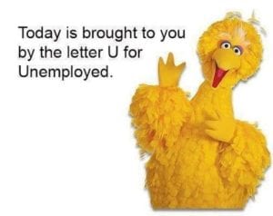 bigbird